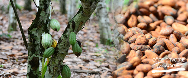 agrotourisme