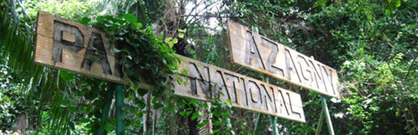 azagny
