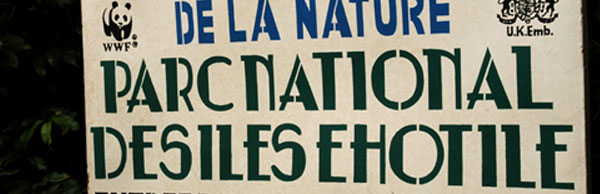 ehotile