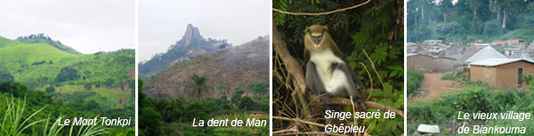 mansite
